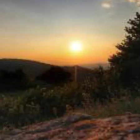 Daire Residenza Primavera Maggiore *