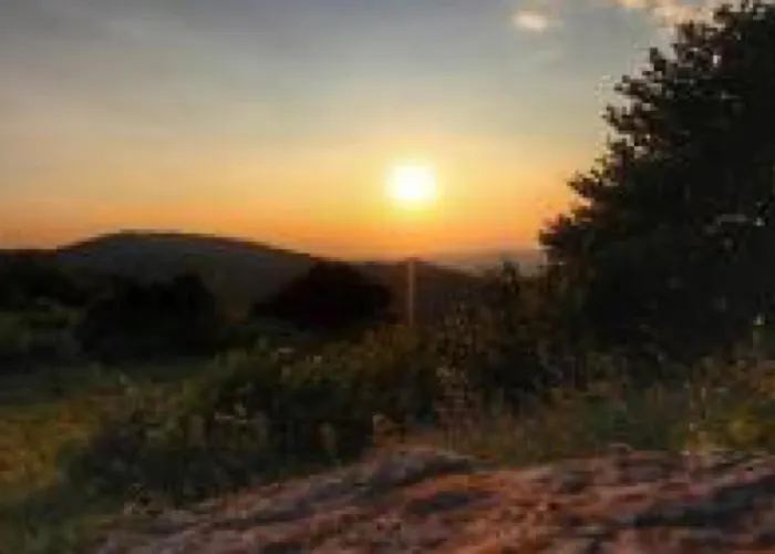 Apartament Residenza Primavera Maggiore *